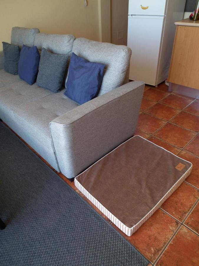 Apartament Frodo Haus Tazacorte Zewnętrze zdjęcie